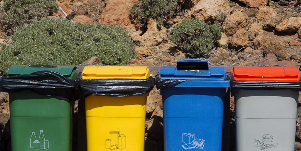 summer solstice bins