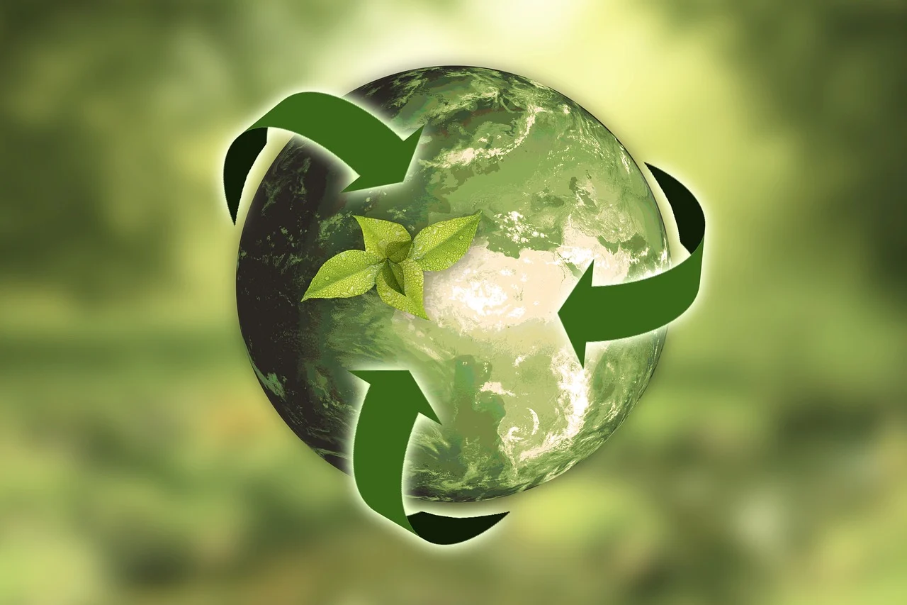 What are the 5 R’s of business waste management?